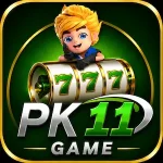 PK11 Game